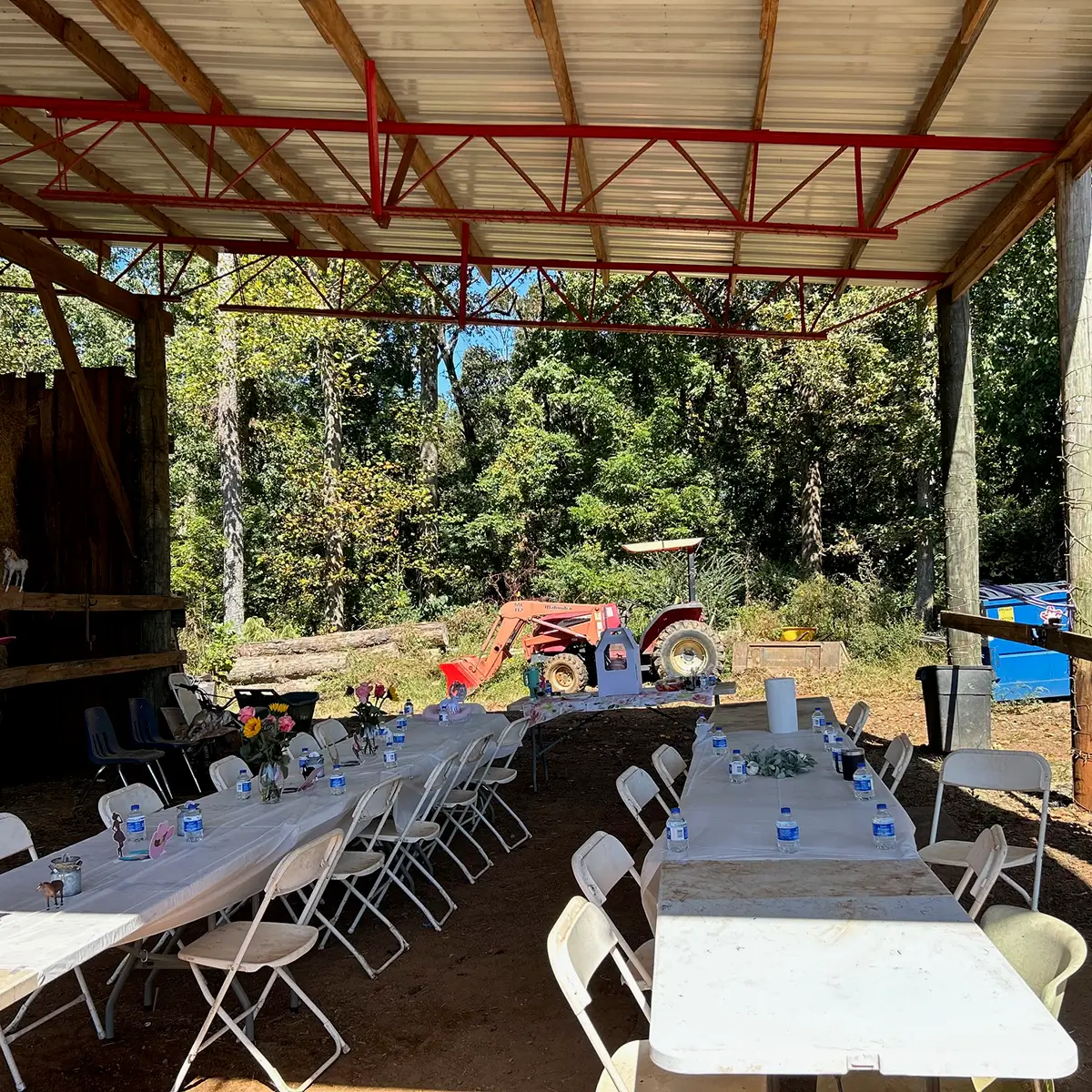 Birthday Parties at WildeWood Farm in Cumming GA