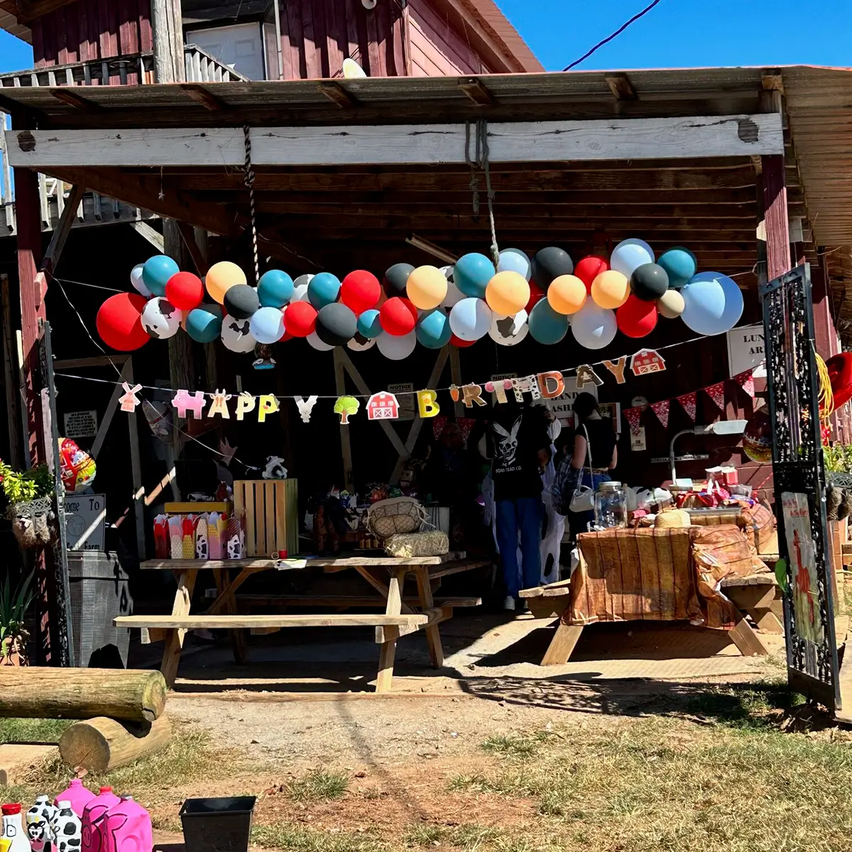Farm Birthday Party at WildeWood Farm