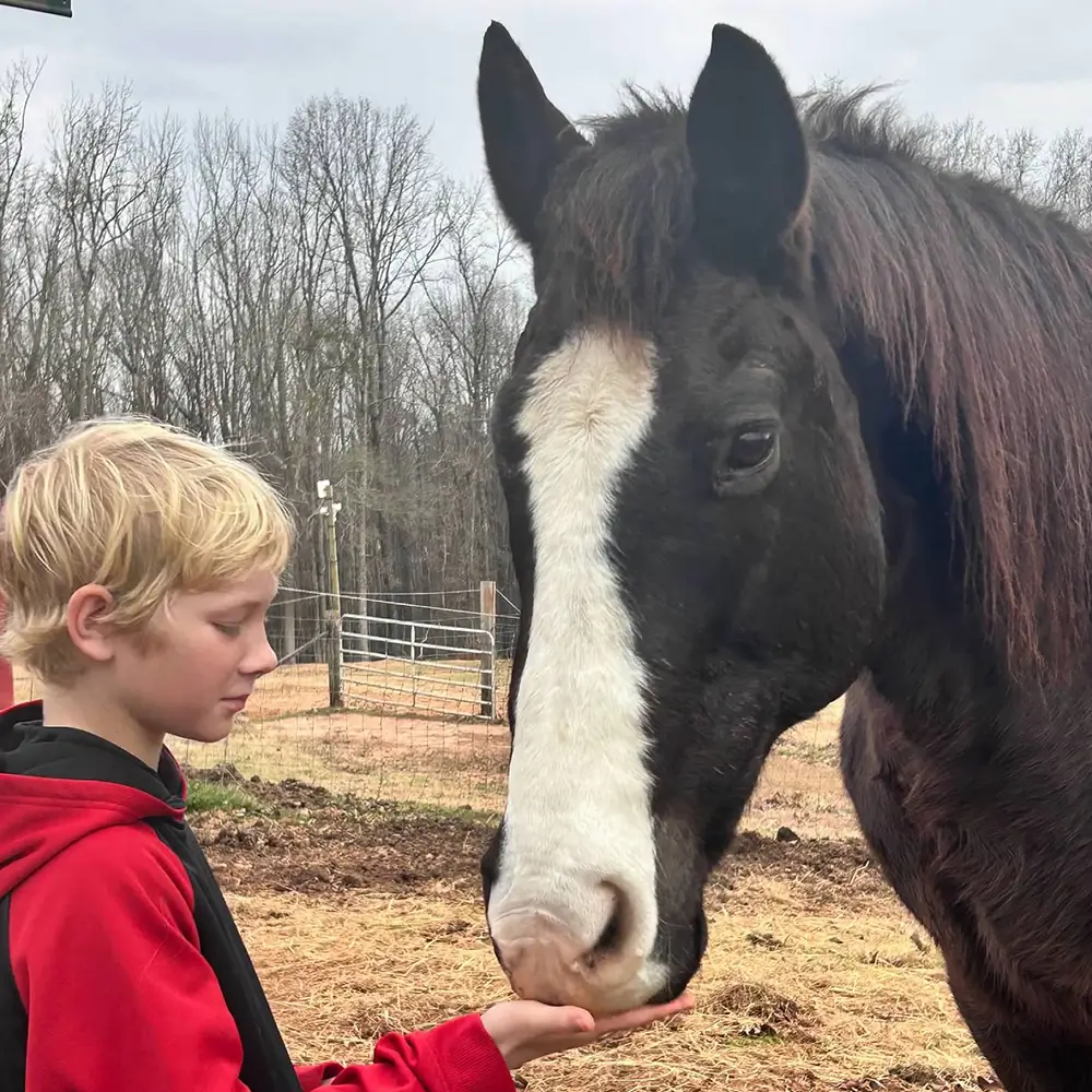 Horse Birthday Parties in Cumming Georgia