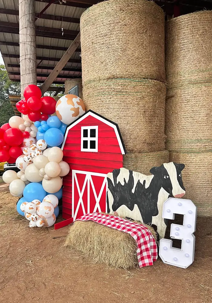 Horse Birthday Parties in Cumming Georgia