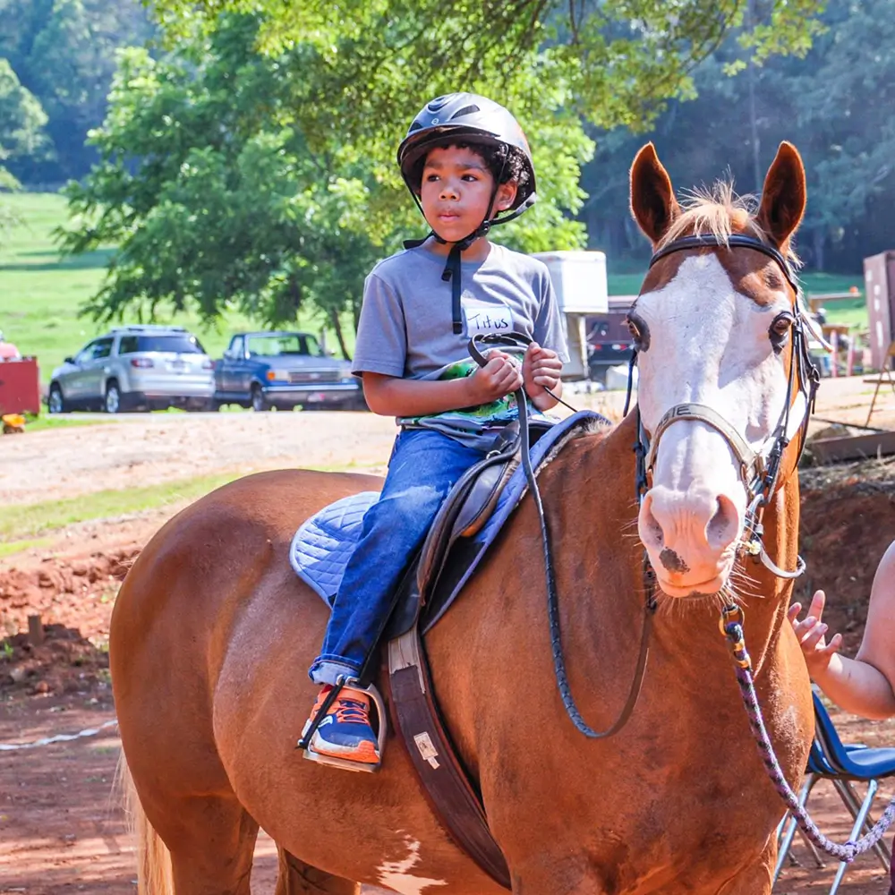 Day Camps at WildeWood Farm