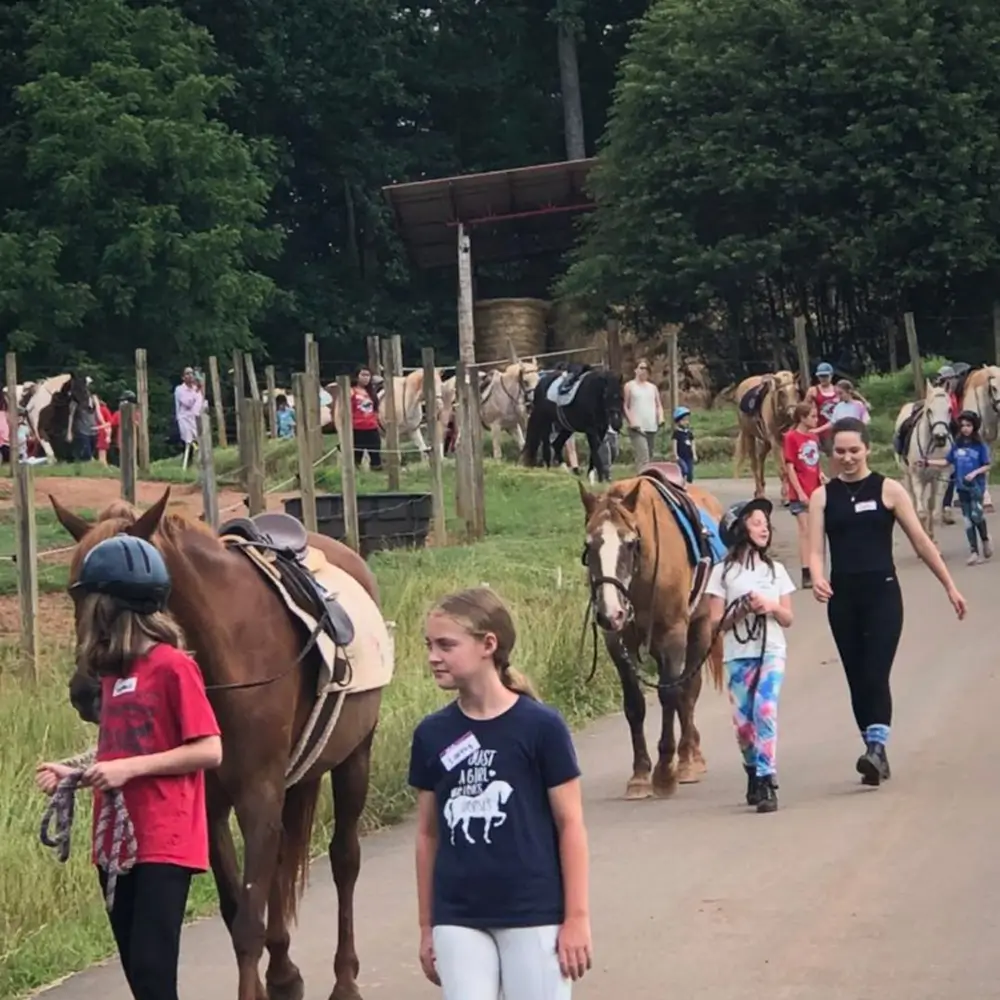 Day Camps at WildeWood Farm