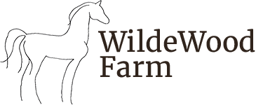 WildeWood Farm - Equestrian Experiences in Cumming Georgia