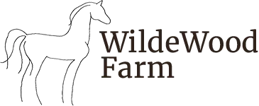 WildeWood Farm - Equestrian Experiences in Cumming Georgia
