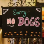 No dogs allowed at WildeWood Farm