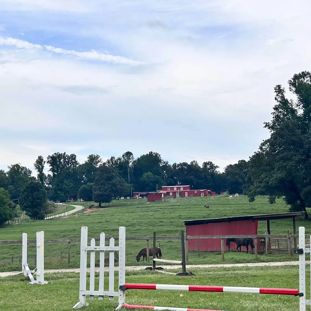 View of WildeWood Farm Inc. in Cumming GA