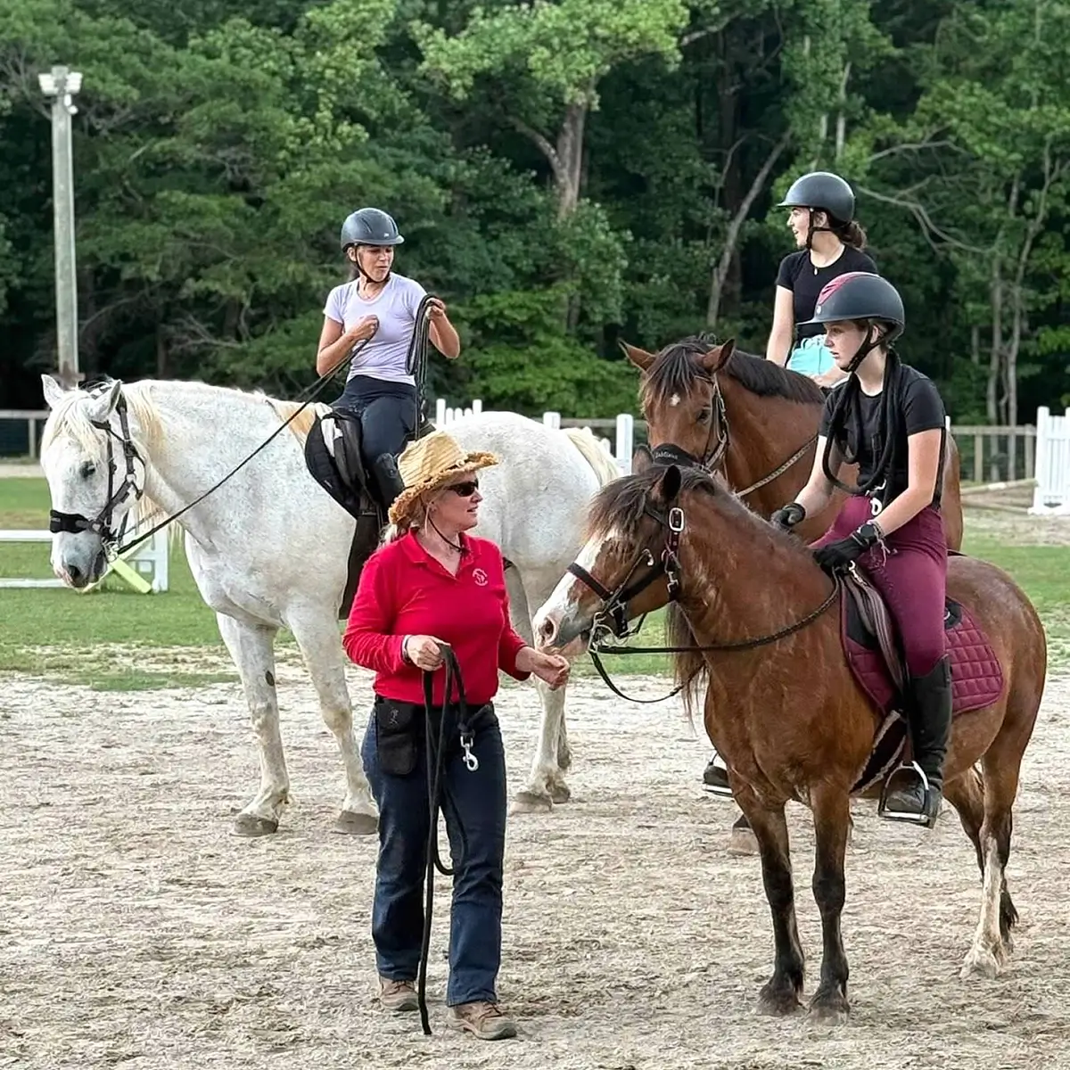 Horseback riding lessons at WildeWood Farm Inc.