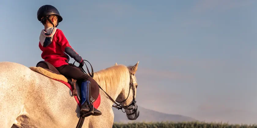 Make Them Carry Their Saddle