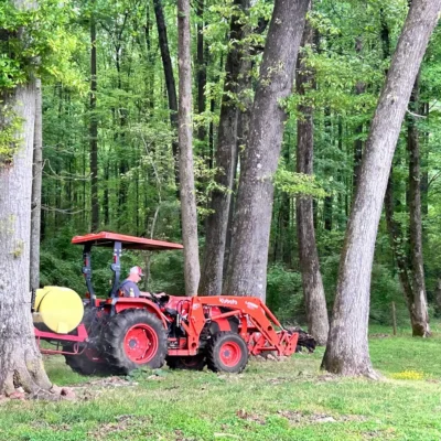 Life on WildeWood Farm