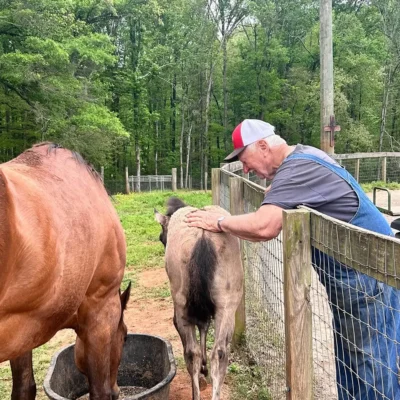 Life on WildeWood Farm