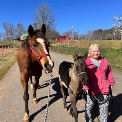 Tending to a horse and pony