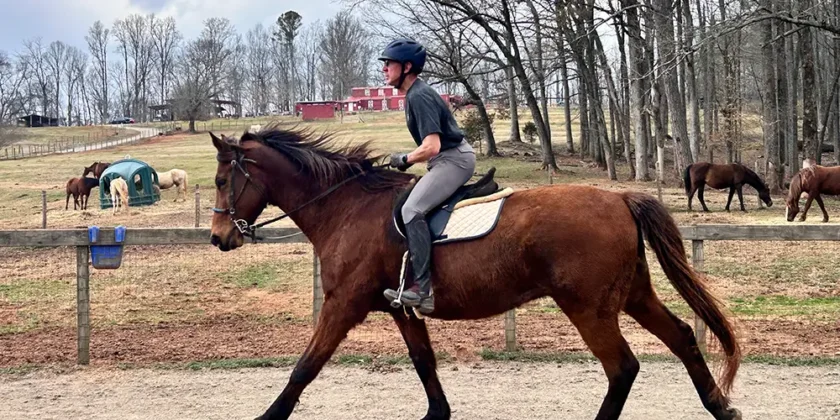 Group vs. Private Horse Riding Lessons