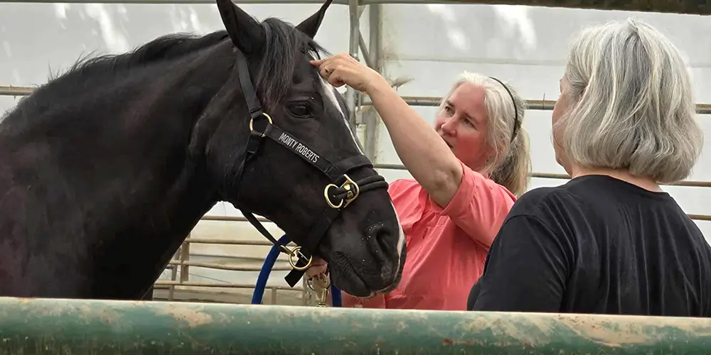 Who Is Monty Roberts and Why His Work Shapes What We Do at WildeWood Farm