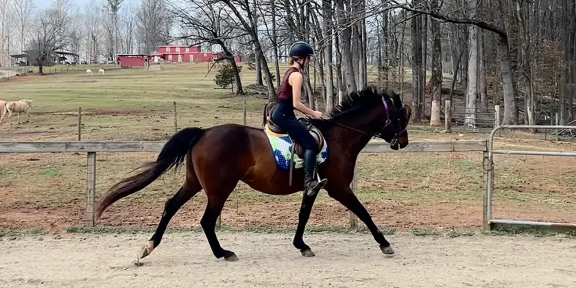 Encouraging Adult Students