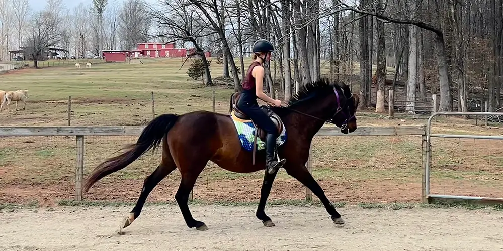 Horseback Riding: What's the cost and who pays for it?