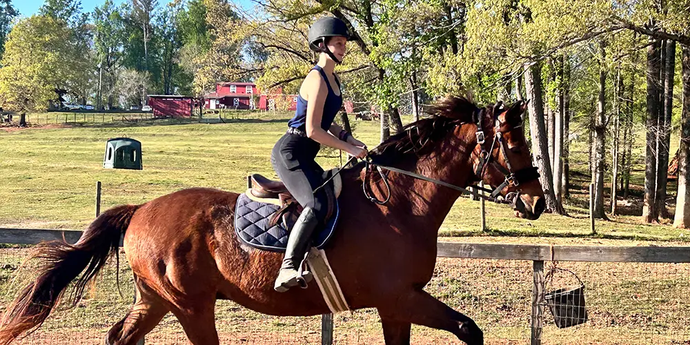 Why Farm Owned Horses Can’t Be “Rented” for Extra Riding Time