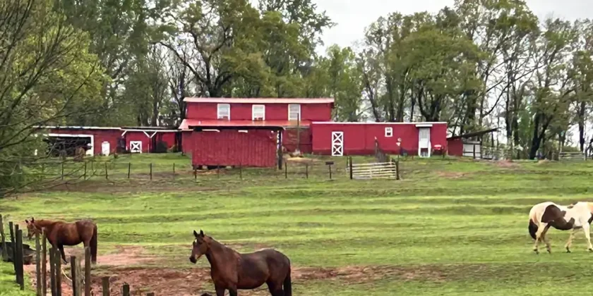 Why the Barn Feels Like Home