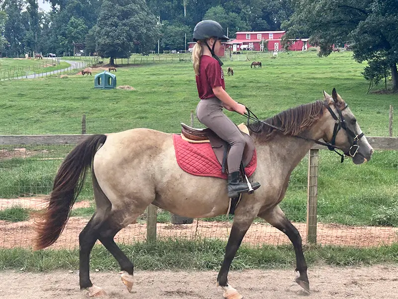 Inclusive Horseback Riding Lessons