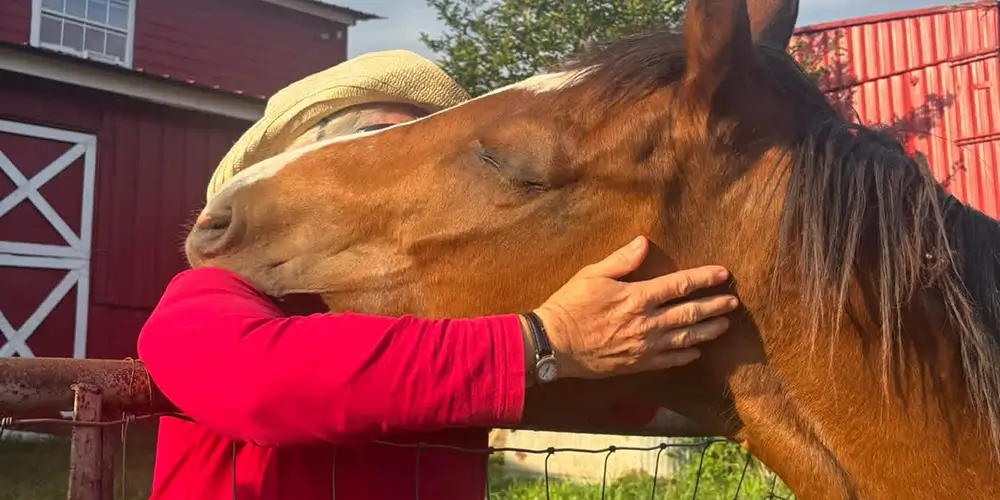 How Horses Understand Leadership