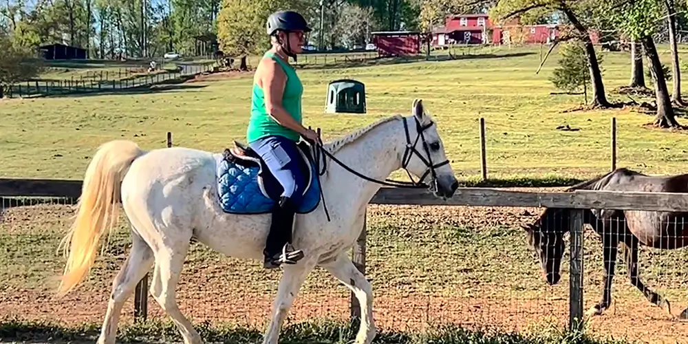 It’s Never Too Late to Come Back to Horses