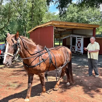 WildeWood Farm - Workhorse Leadership Retreat